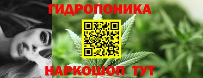 PSILOCYBIN Донской